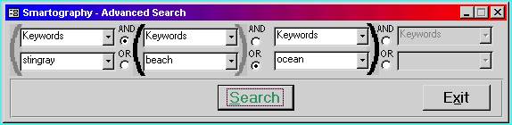 Advanced Search Dialog Box